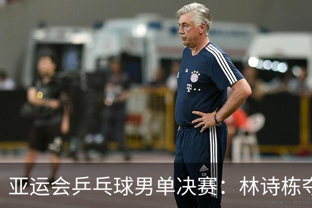 亚运会乒乓球男单决赛：林诗栋夺冠却无喜，观众气氛尴尬