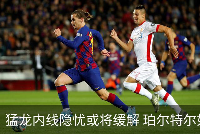 猛龙内线隐忧或将缓解 珀尔特尔如能健康归来