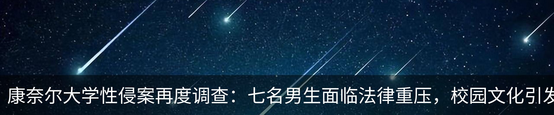 新闻动态